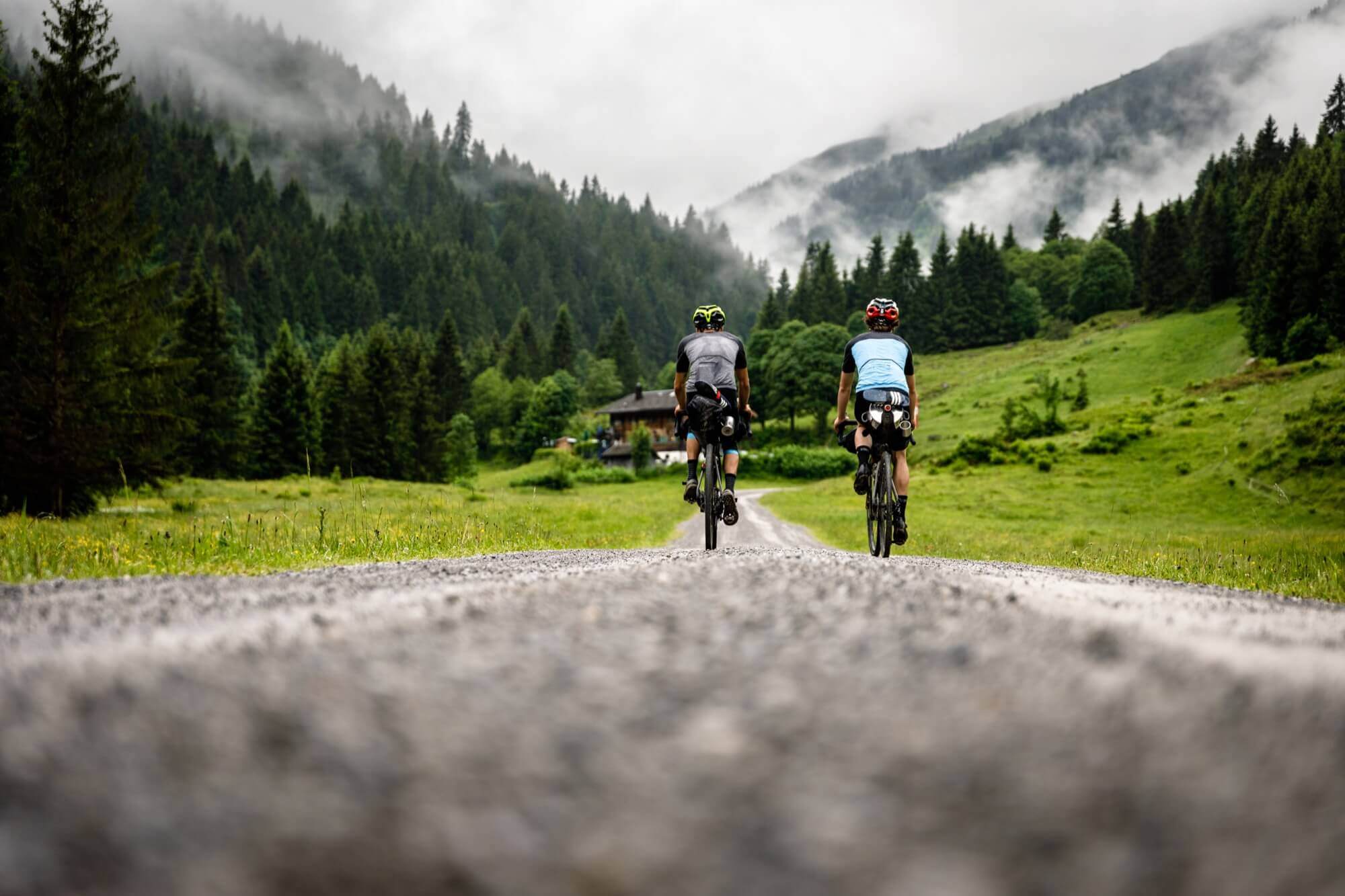 Gravelbike Trikot - Design Auswahl und Farben 2024